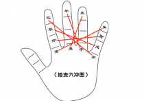 地支六冲、六害以及六害和六合的来龙去脉（附掌决）