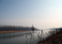 黄河故道又名废黄河 故黄河风景 萧瑟凄凉中蕴含层层生机