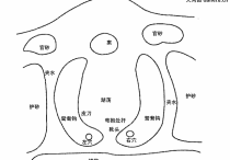 ​湖荡聚砂格六 水口砂聚气 官运亨通
