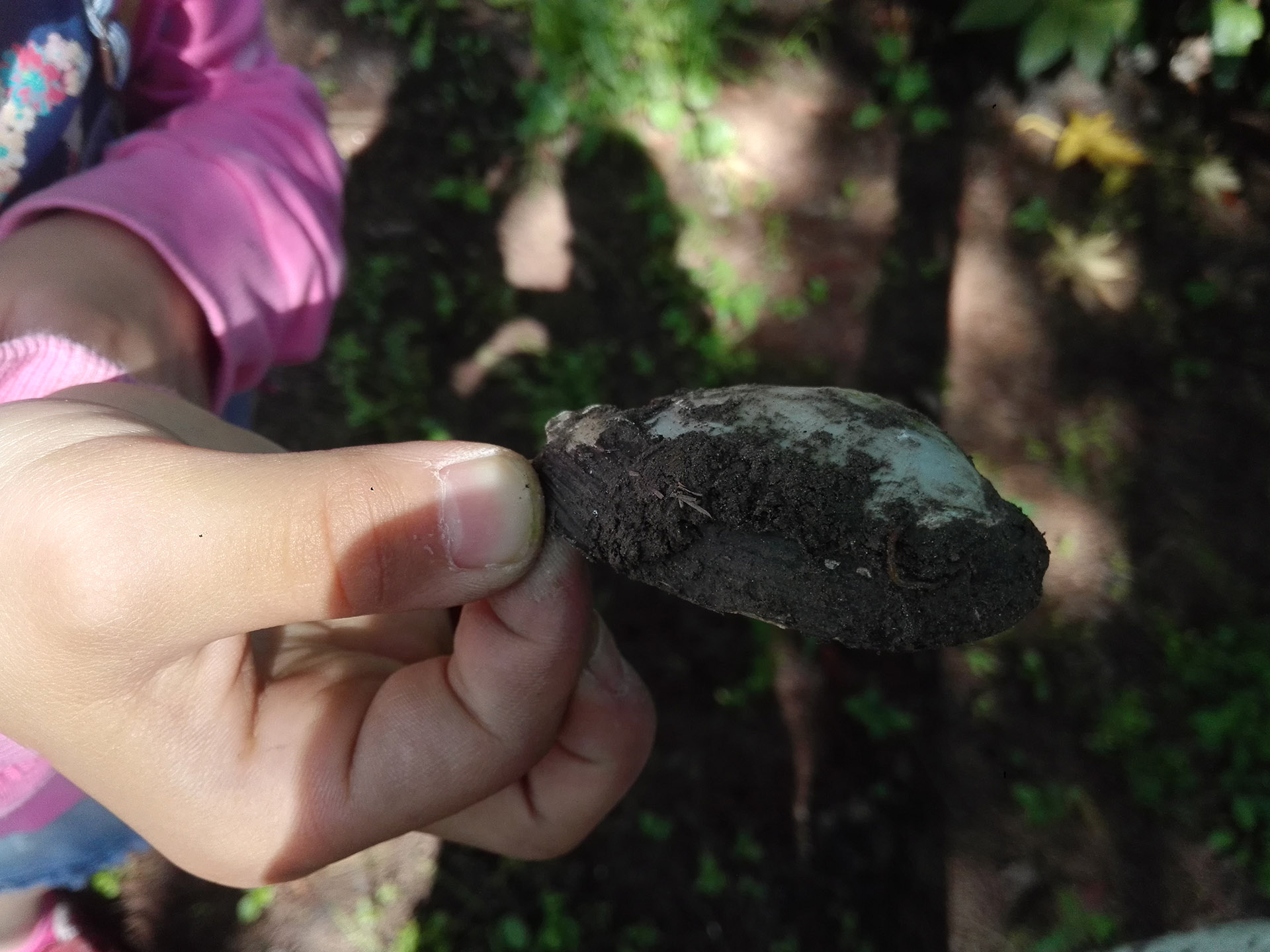 太仓的"城市绿色走廊"骑行的好地方