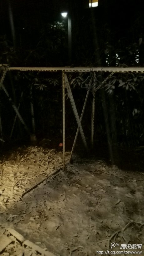 望雪夜初散泥院落 旧时光哗啦啦溢满脑