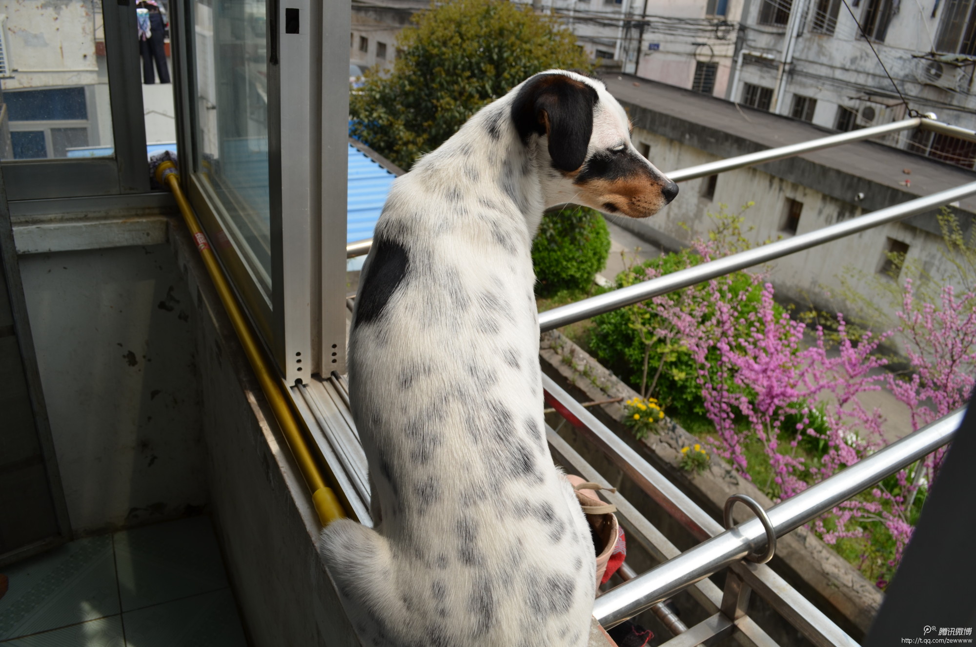 有关于惠阳三村的记忆照片