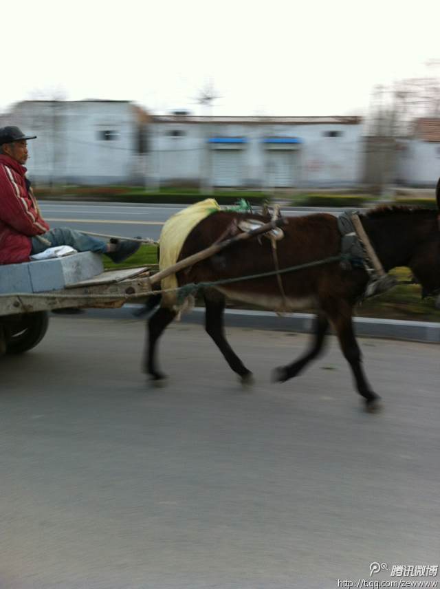 宿迁学驾照的非常之旅 