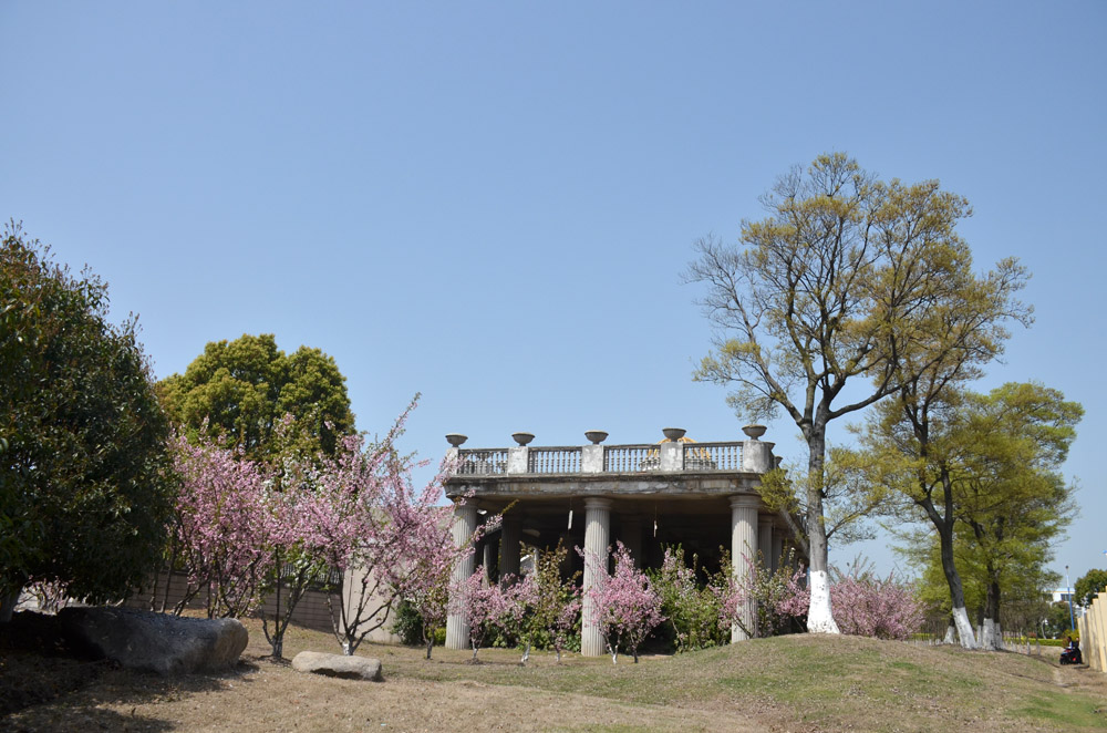 太仓城北湿地公园春景