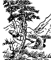 推背图全集之金圣叹批注本-推背图第十一象 甲戌