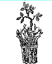 推背图全集之金圣叹批注本-推背图第十四象 丁丑