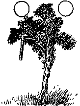 推背图全集之金圣叹批注本-推背图第二十七象 庚寅