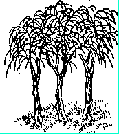 推背图全集之金圣叹批注本-推背图第二十九象 壬辰