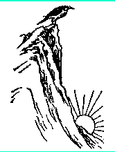 推背图全集之金圣叹批注本-推背图第叁十九象 壬寅