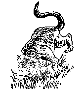 推背图全集之金圣叹批注本-推背图第五十象 癸丑