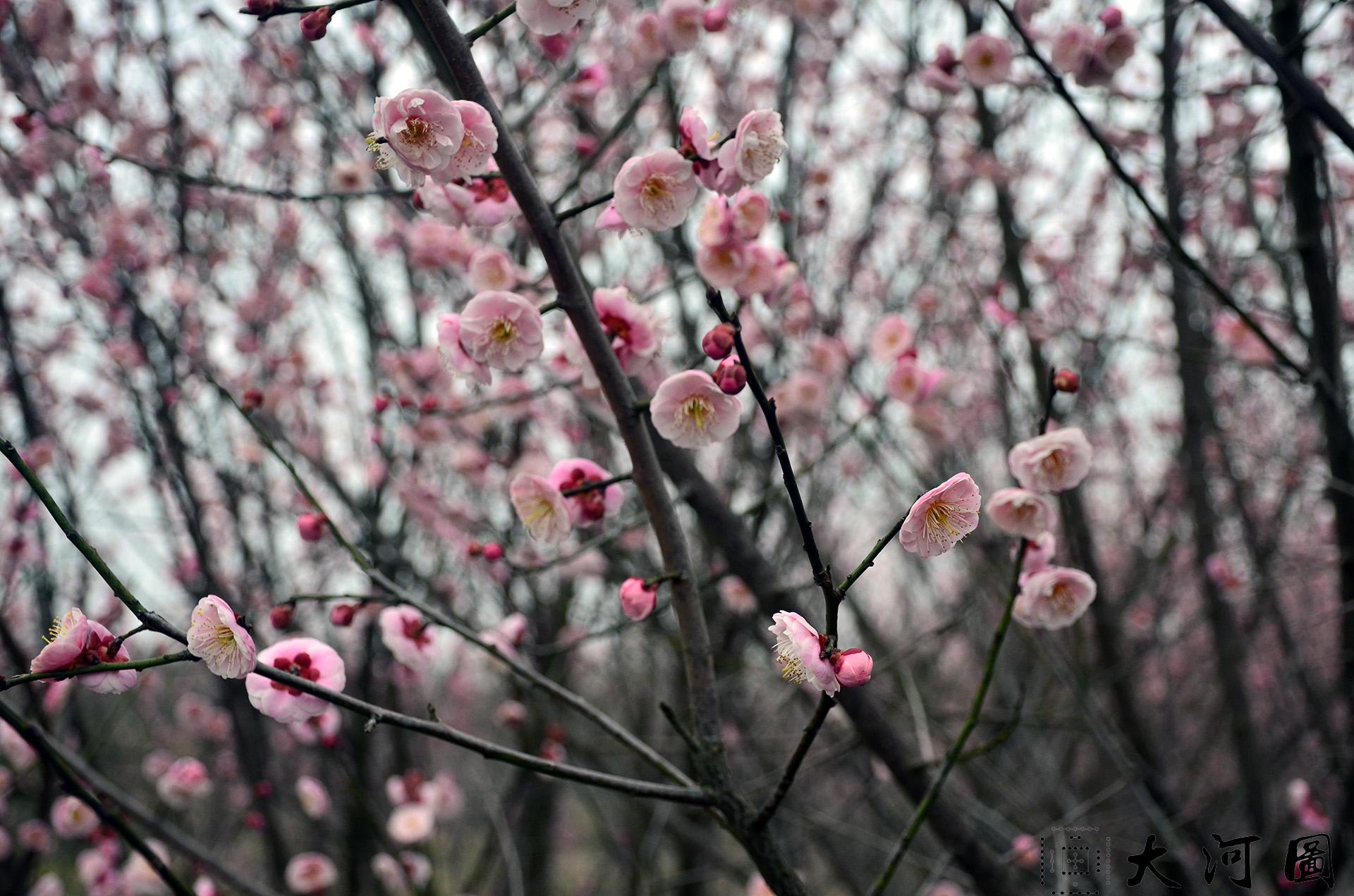 《长相思》 宣华夫人与杨广合词作