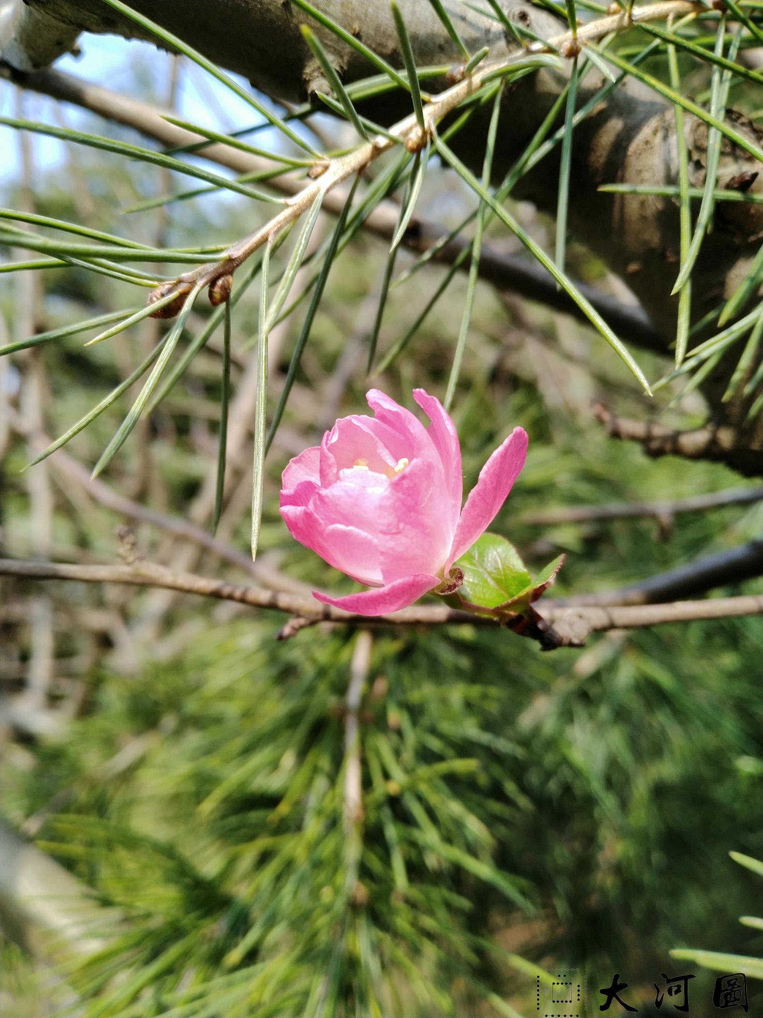 仇俗篇诗歌及第一立志天仙金丹心法原文