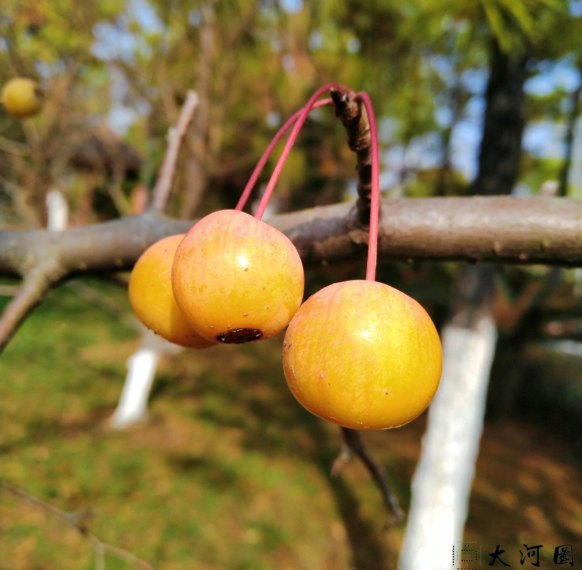 探道篇诗歌及第一立志天仙金丹心法原文