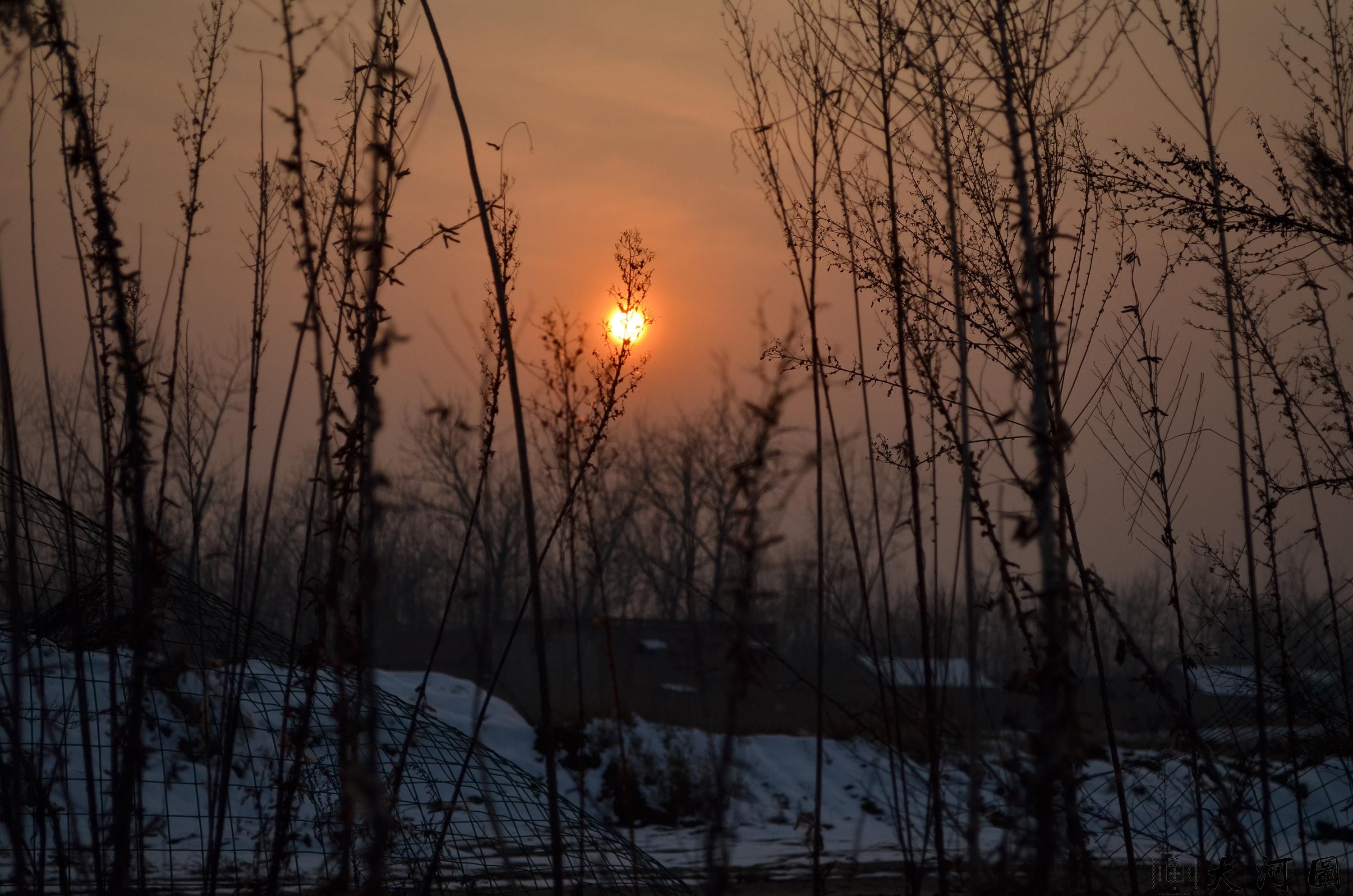 红豆曲《红楼梦》插曲宝玉与薛蟠等人聚饮作诗为黛玉