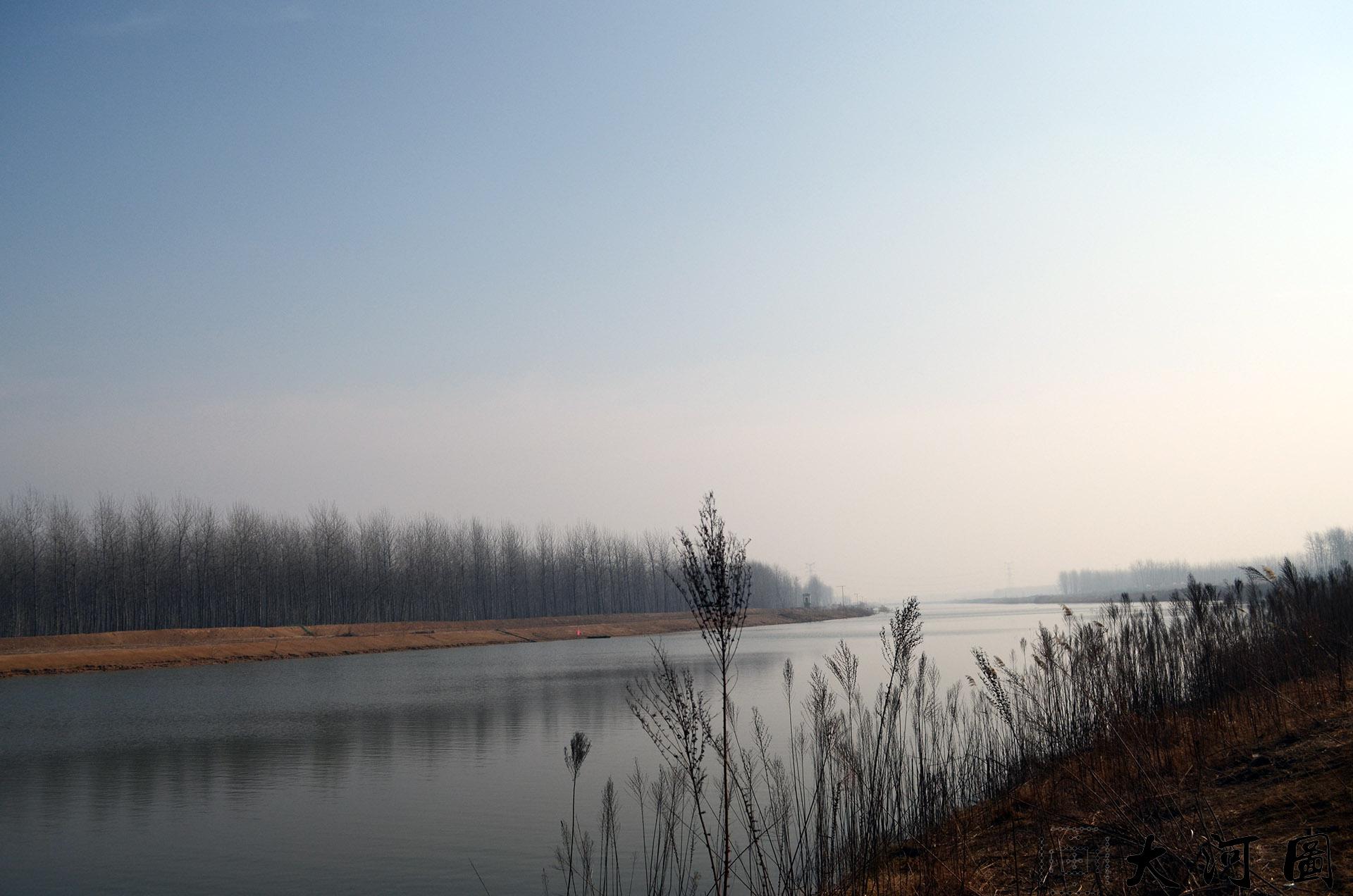 黄河故道又名废黄河 故黄河风景 萧瑟凄凉中蕴含层层生机