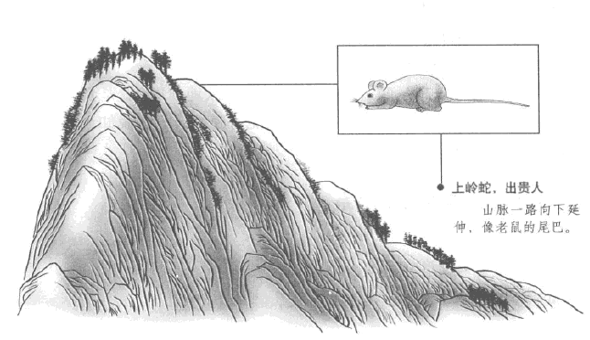贪狼星峰贵龙和富龙 及真骨脉气 贪狼的上岭蛇和下岭蛇的区别